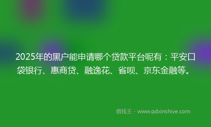 2025年的黑户能申请哪个贷款平台呢有：平安口袋银行、惠商贷、融逸花、省呗、京东金融等。