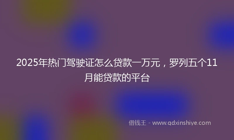 2025年热门驾驶证怎么贷款一万元，罗列五个11月能贷款的平台