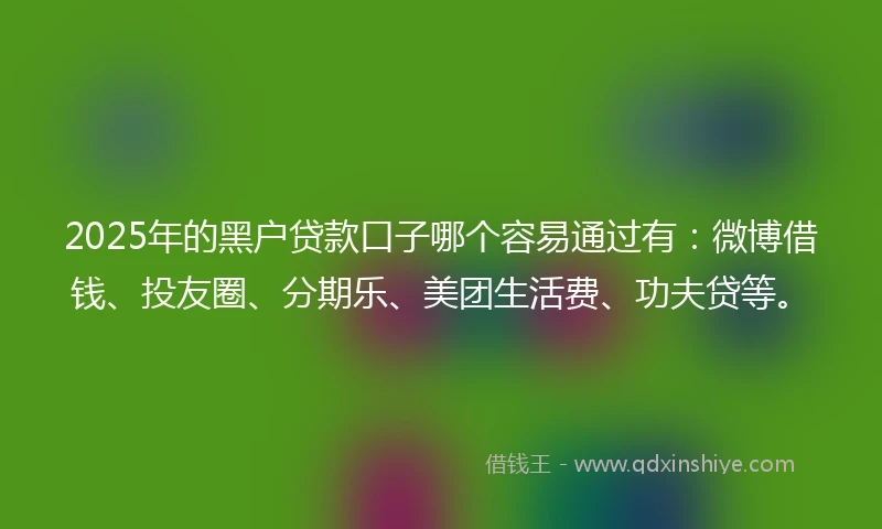 2025年的黑户贷款口子哪个容易通过有：微博借钱、投友圈、分期乐、美团生活费、功夫贷等。