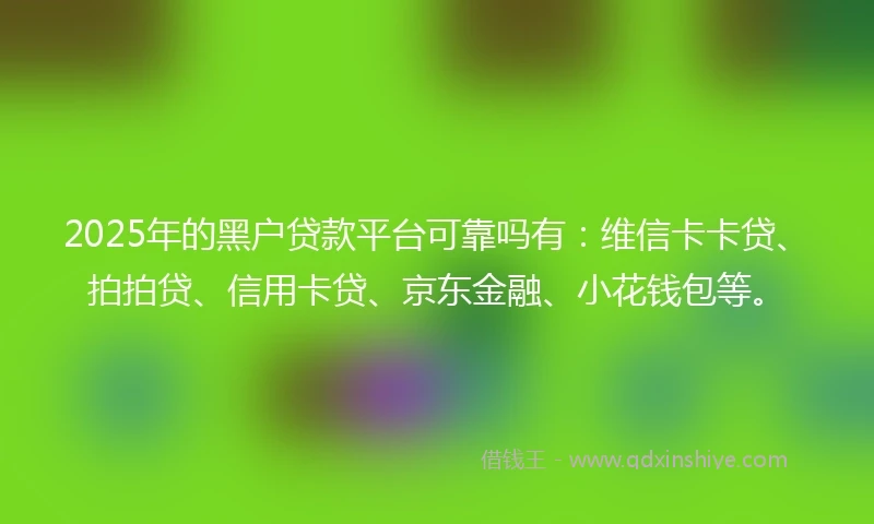 2025年的黑户贷款平台可靠吗有：维信卡卡贷、拍拍贷、信用卡贷、京东金融、小花钱包等。