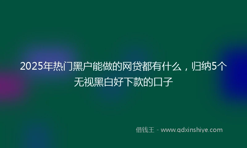 2025年热门黑户能做的网贷都有什么，归纳5个无视黑白好下款的口子