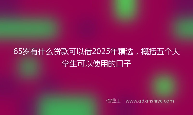 65岁有什么贷款可以借2025年精选，概括五个大学生可以使用的口子