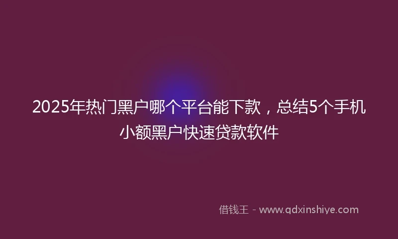 2025年热门黑户哪个平台能下款，总结5个手机小额黑户快速贷款软件