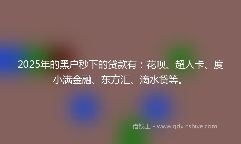 2025年的黑户秒下的贷款有：花呗、超人卡、度小满金融、东方汇、滴水贷等。