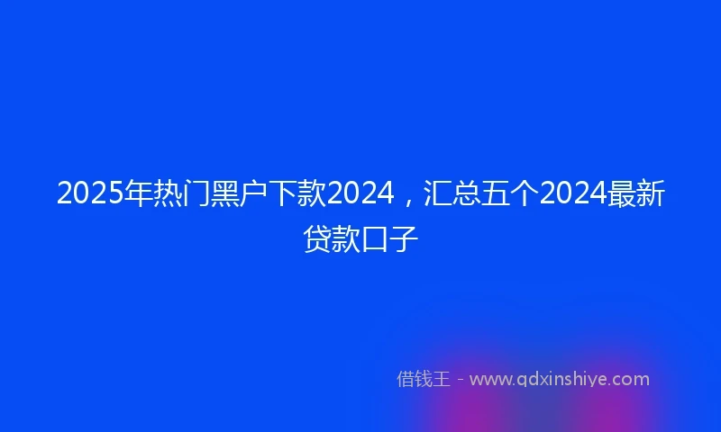 2025年热门黑户下款2024，汇总五个2024最新贷款口子