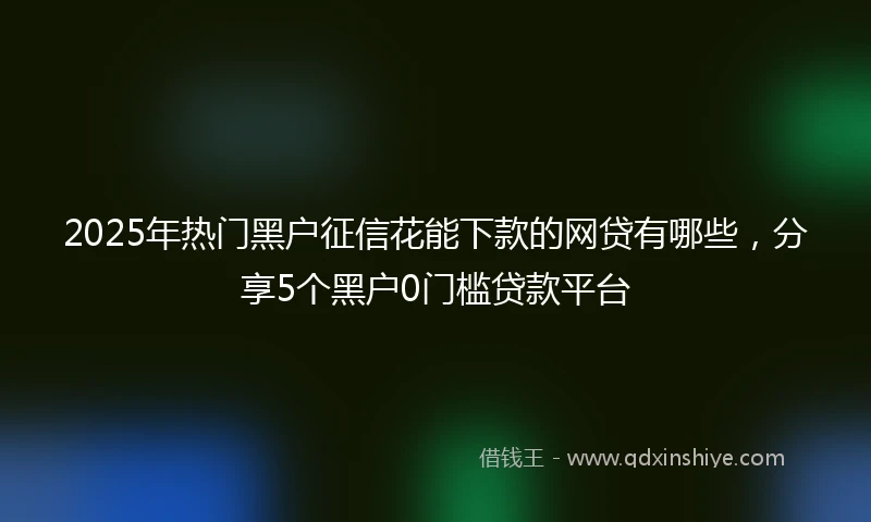 2025年热门黑户征信花能下款的网贷有哪些，分享5个黑户0门槛贷款平台