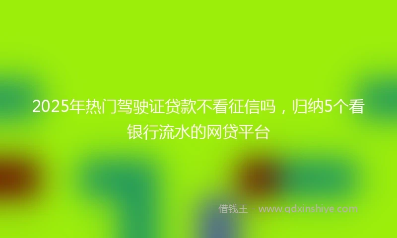 2025年热门驾驶证贷款不看征信吗，归纳5个看银行流水的网贷平台