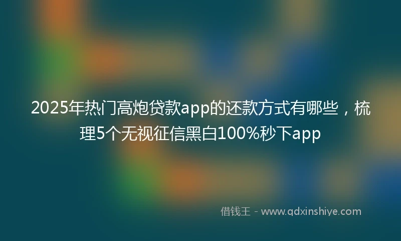2025年热门高炮贷款app的还款方式有哪些，梳理5个无视征信黑白100%秒下app