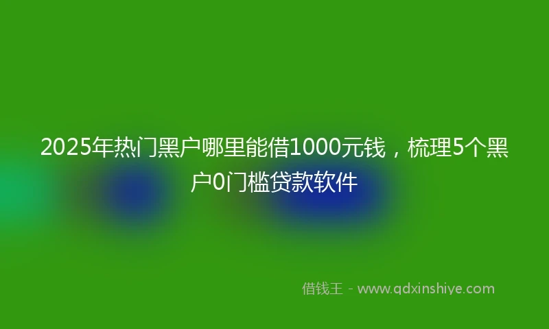 2025年热门黑户哪里能借1000元钱，梳理5个黑户0门槛贷款软件