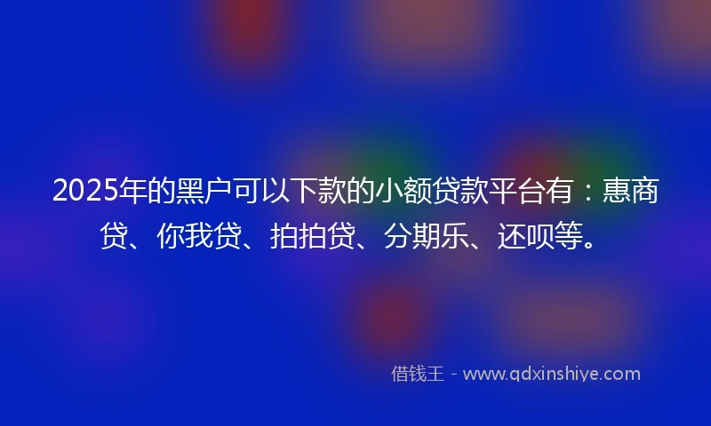 2025年的黑户可以下款的小额贷款平台有：惠商贷、你我贷、拍拍贷、分期乐、还呗等。