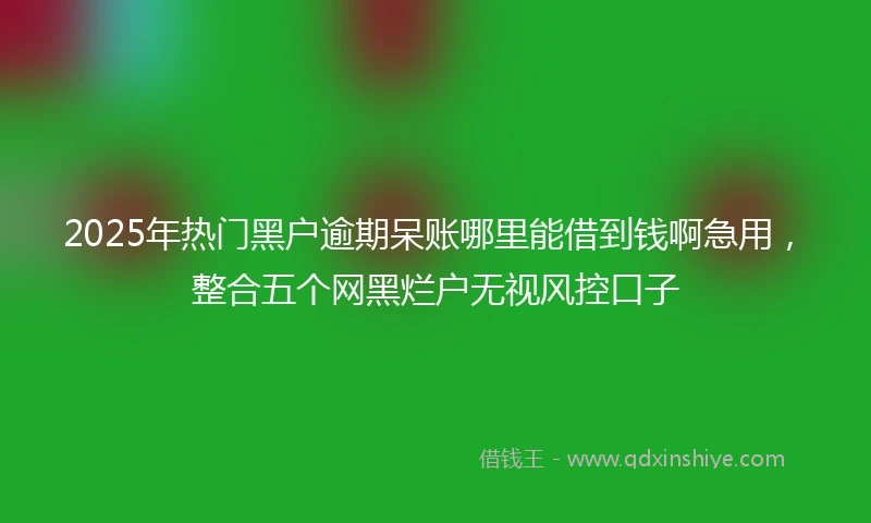 2025年热门黑户逾期呆账哪里能借到钱啊急用，整合五个网黑烂户无视风控口子