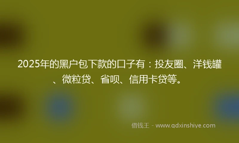 2025年的黑户包下款的口子有：投友圈、洋钱罐、微粒贷、省呗、信用卡贷等。