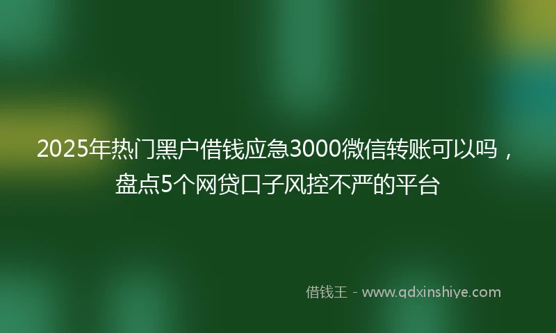 2025年热门黑户借钱应急3000微信转账可以吗，盘点5个网贷口子风控不严的平台