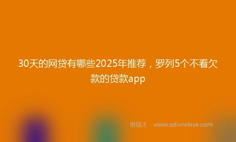30天的网贷有哪些2025年推荐，罗列5个不看欠款的贷款app