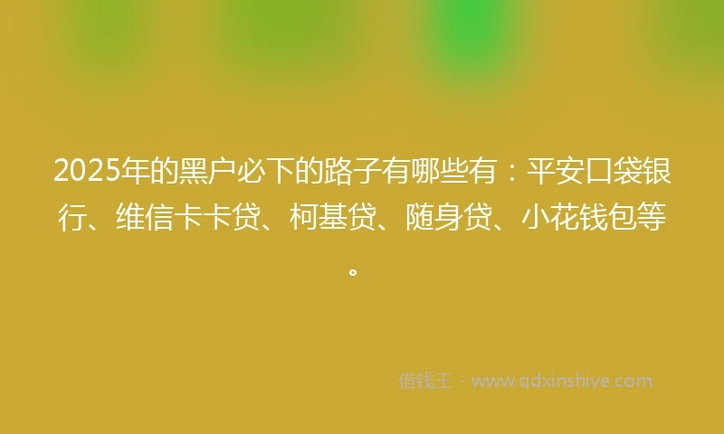 2025年的黑户必下的路子有哪些有：平安口袋银行、维信卡卡贷、柯基贷、随身贷、小花钱包等。