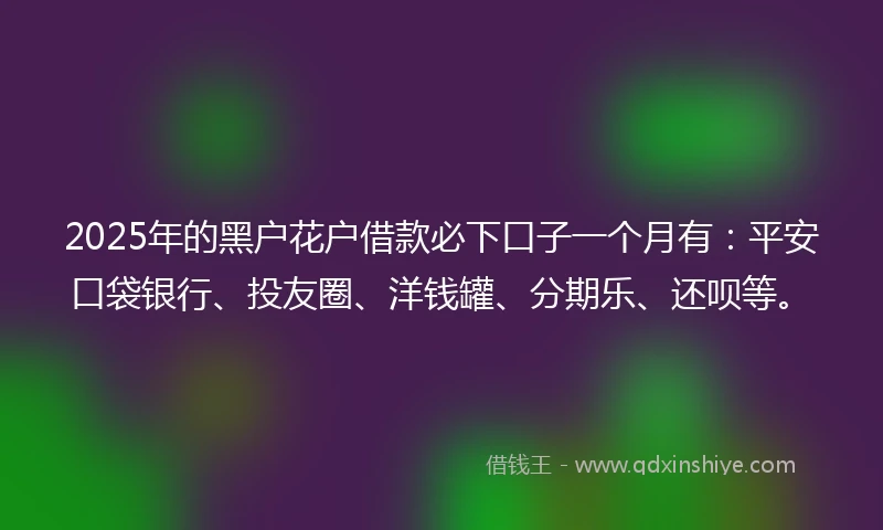 2025年的黑户花户借款必下口子一个月有：平安口袋银行、投友圈、洋钱罐、分期乐、还呗等。