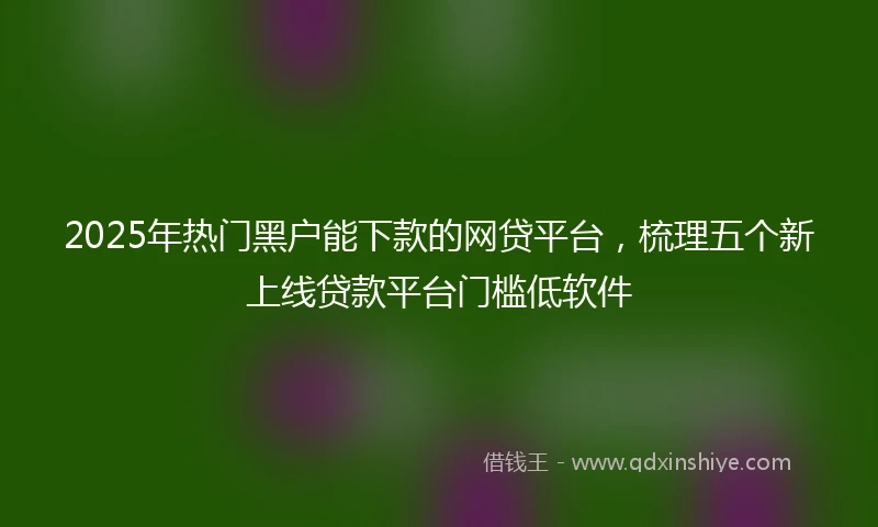 2025年热门黑户能下款的网贷平台，梳理五个新上线贷款平台门槛低软件