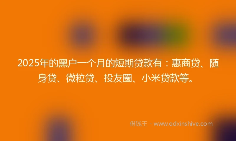 2025年的黑户一个月的短期贷款有：惠商贷、随身贷、微粒贷、投友圈、小米贷款等。