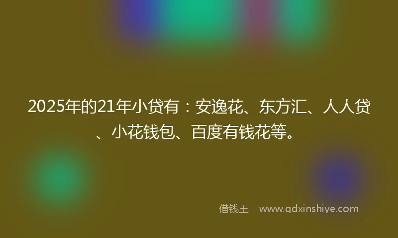 2025年的21年小贷有：安逸花、东方汇、人人贷、小花钱包、百度有钱花等。