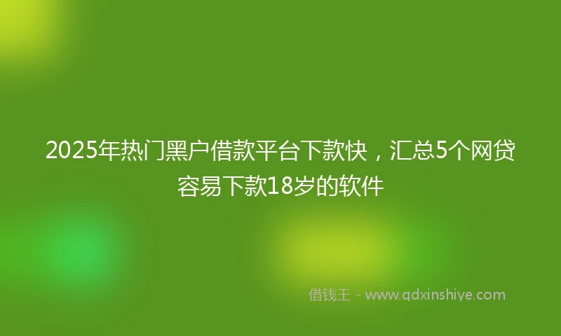 2025年热门黑户借款平台下款快，汇总5个网贷容易下款18岁的软件