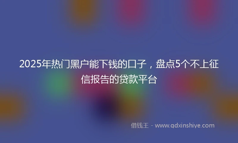 2025年热门黑户能下钱的口子，盘点5个不上征信报告的贷款平台