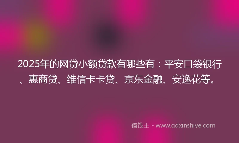 2025年的网贷小额贷款有哪些有：平安口袋银行、惠商贷、维信卡卡贷、京东金融、安逸花等。