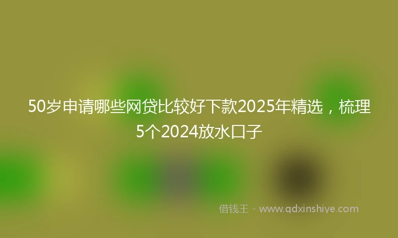 50岁申请哪些网贷比较好下款2025年精选，梳理5个2024放水口子