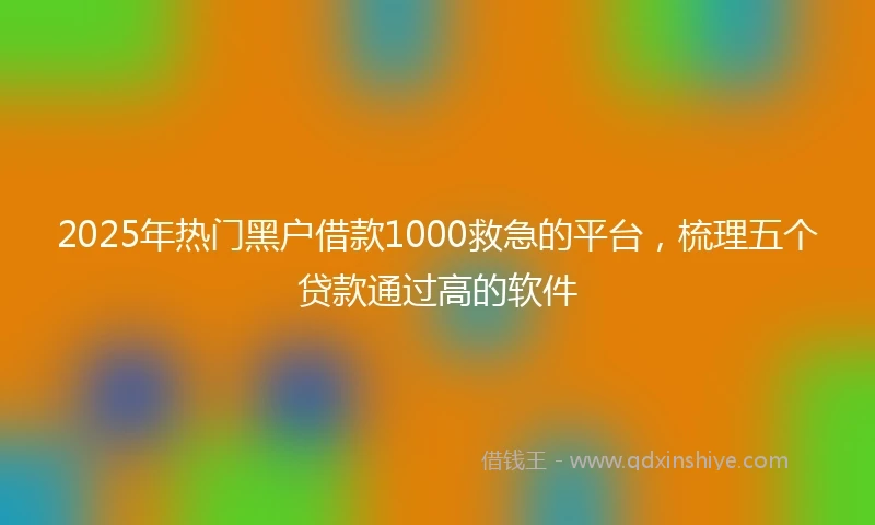 2025年热门黑户借款1000救急的平台，梳理五个贷款通过高的软件