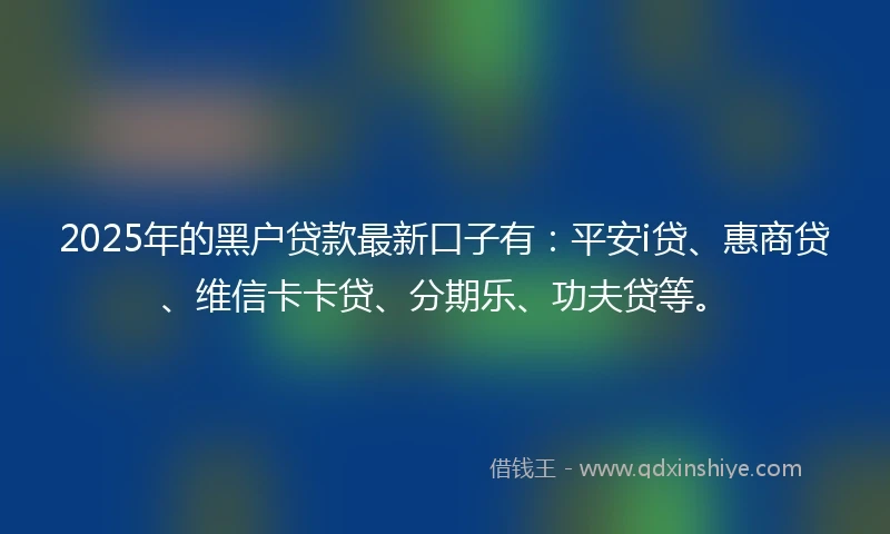 2025年的黑户贷款最新口子有：平安i贷、惠商贷、维信卡卡贷、分期乐、功夫贷等。
