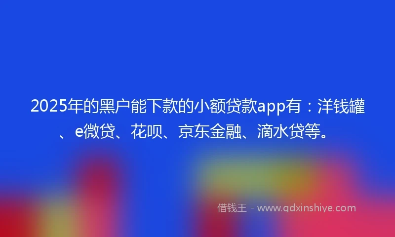 2025年的黑户能下款的小额贷款app有：洋钱罐、e微贷、花呗、京东金融、滴水贷等。