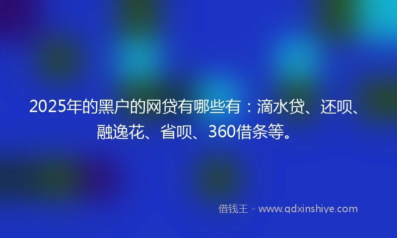 2025年的黑户的网贷有哪些有：滴水贷、还呗、融逸花、省呗、360借条等。