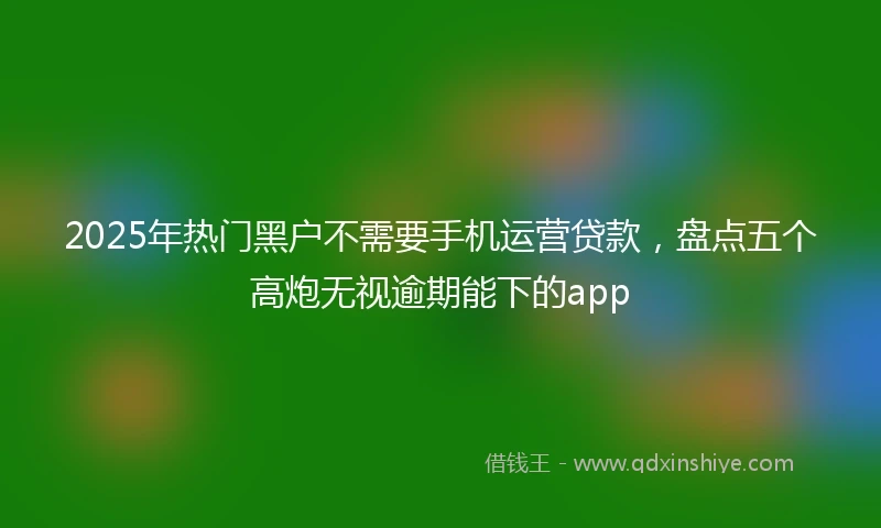 2025年热门黑户不需要手机运营贷款，盘点五个高炮无视逾期能下的app