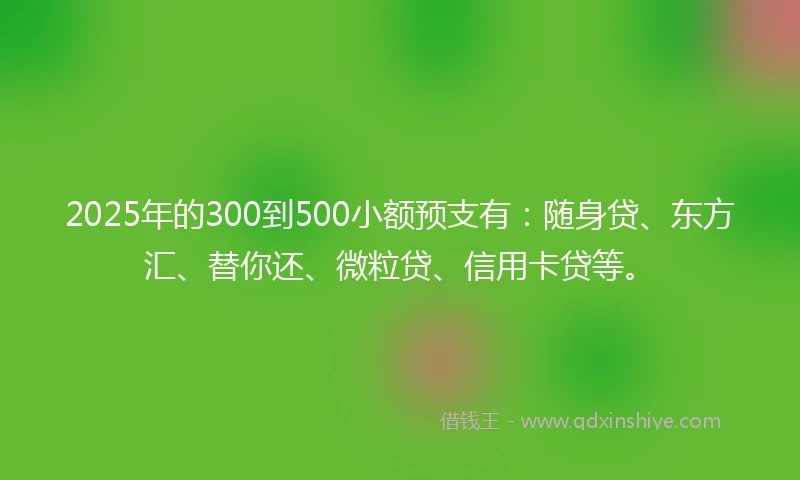 2025年的300到500小额预支有：随身贷、东方汇、替你还、微粒贷、信用卡贷等。