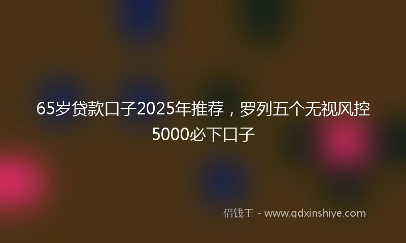 65岁贷款口子2025年推荐，罗列五个无视风控5000必下口子