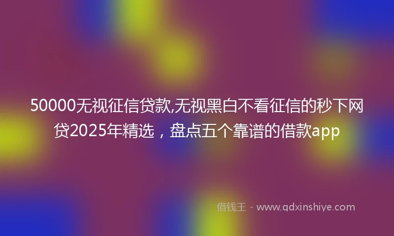 50000无视征信贷款,无视黑白不看征信的秒下网贷2025年精选，盘点五个靠谱的借款app