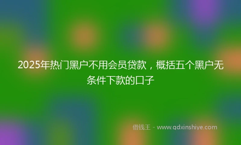 2025年热门黑户不用会员贷款，概括五个黑户无条件下款的口子