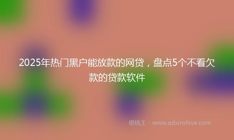 2025年热门黑户能放款的网贷，盘点5个不看欠款的贷款软件