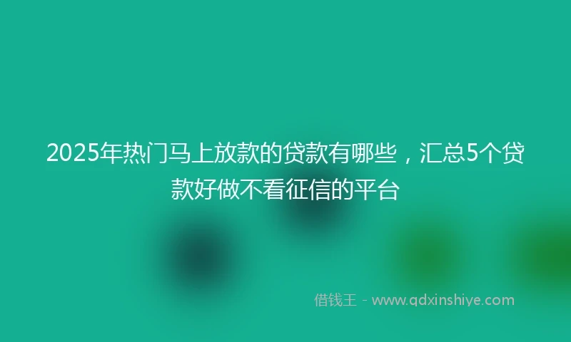 2025年热门马上放款的贷款有哪些，汇总5个贷款好做不看征信的平台