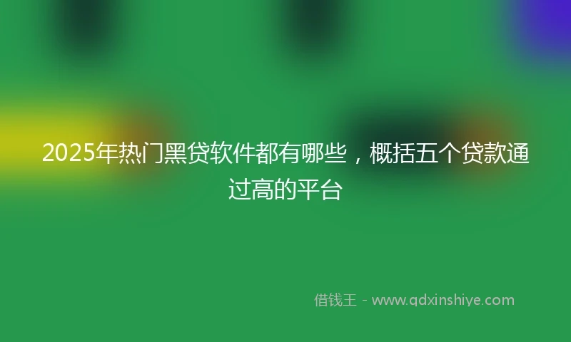 2025年热门黑贷软件都有哪些，概括五个贷款通过高的平台