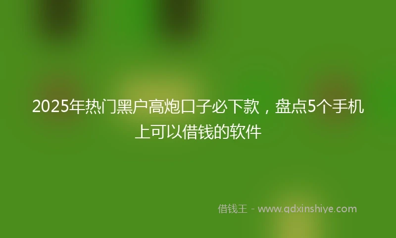 2025年热门黑户高炮口子必下款，盘点5个手机上可以借钱的软件