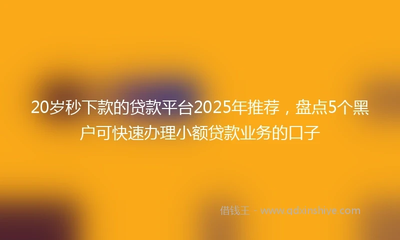 20岁秒下款的贷款平台2025年推荐，盘点5个黑户可快速办理小额贷款业务的口子