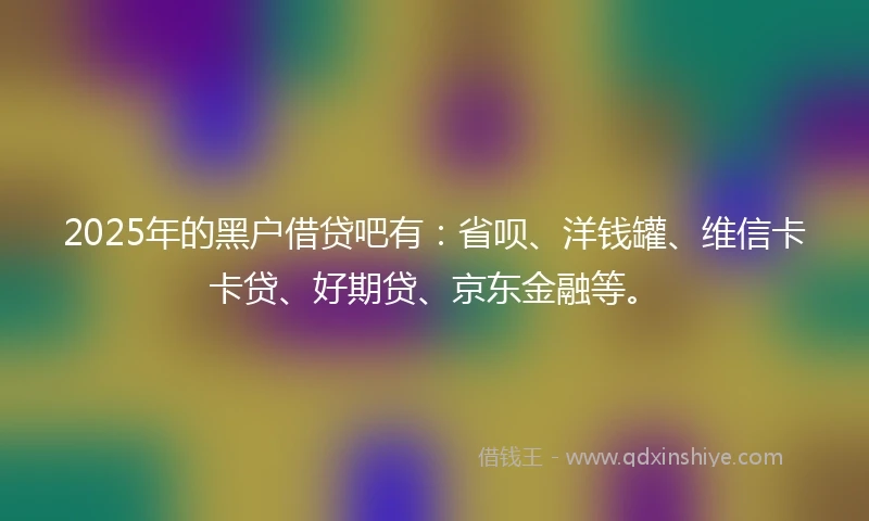 2025年的黑户借贷吧有：省呗、洋钱罐、维信卡卡贷、好期贷、京东金融等。
