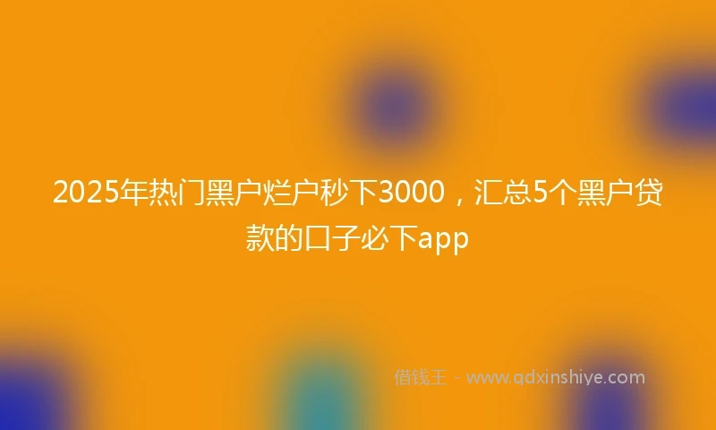 2025年热门黑户烂户秒下3000，汇总5个黑户贷款的口子必下app
