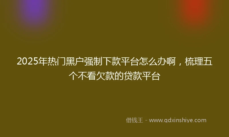 2025年热门黑户强制下款平台怎么办啊，梳理五个不看欠款的贷款平台