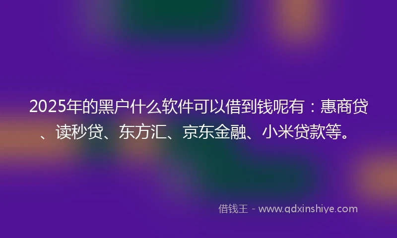 2025年的黑户什么软件可以借到钱呢有：惠商贷、读秒贷、东方汇、京东金融、小米贷款等。