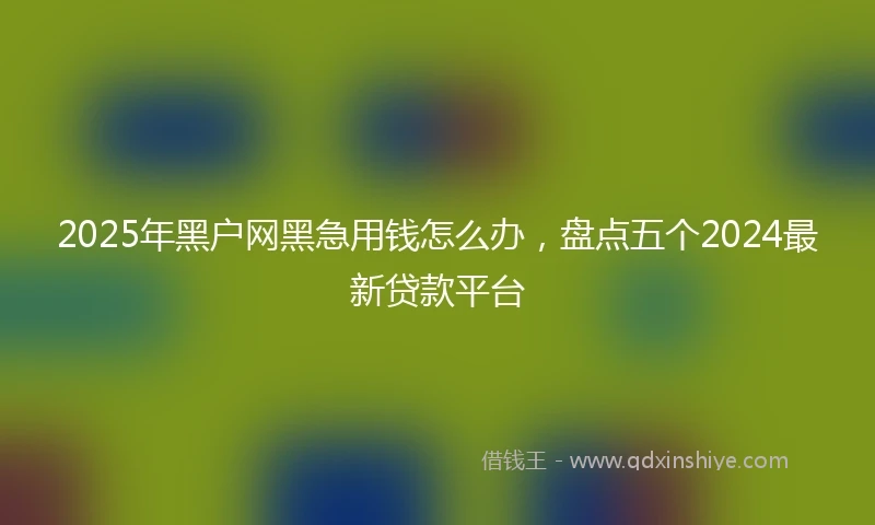 2025年黑户网黑急用钱怎么办，盘点五个2024最新贷款平台