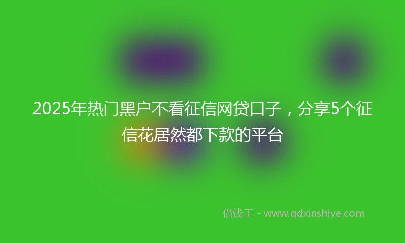 2025年热门黑户不看征信网贷口子，分享5个征信花居然都下款的平台