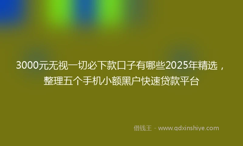 3000元无视一切必下款口子有哪些2025年精选，整理五个手机小额黑户快速贷款平台