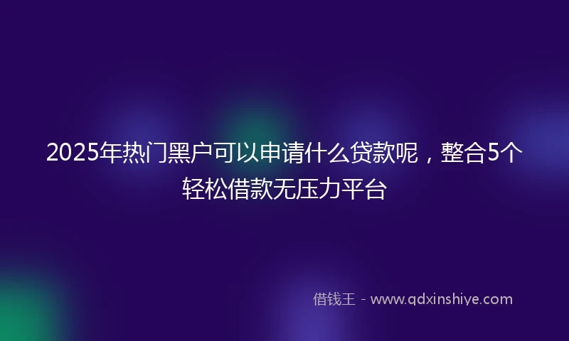 2025年热门黑户可以申请什么贷款呢，整合5个轻松借款无压力平台