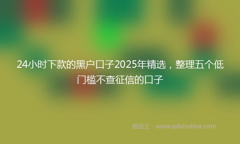 24小时下款的黑户口子2025年精选，整理五个低门槛不查征信的口子